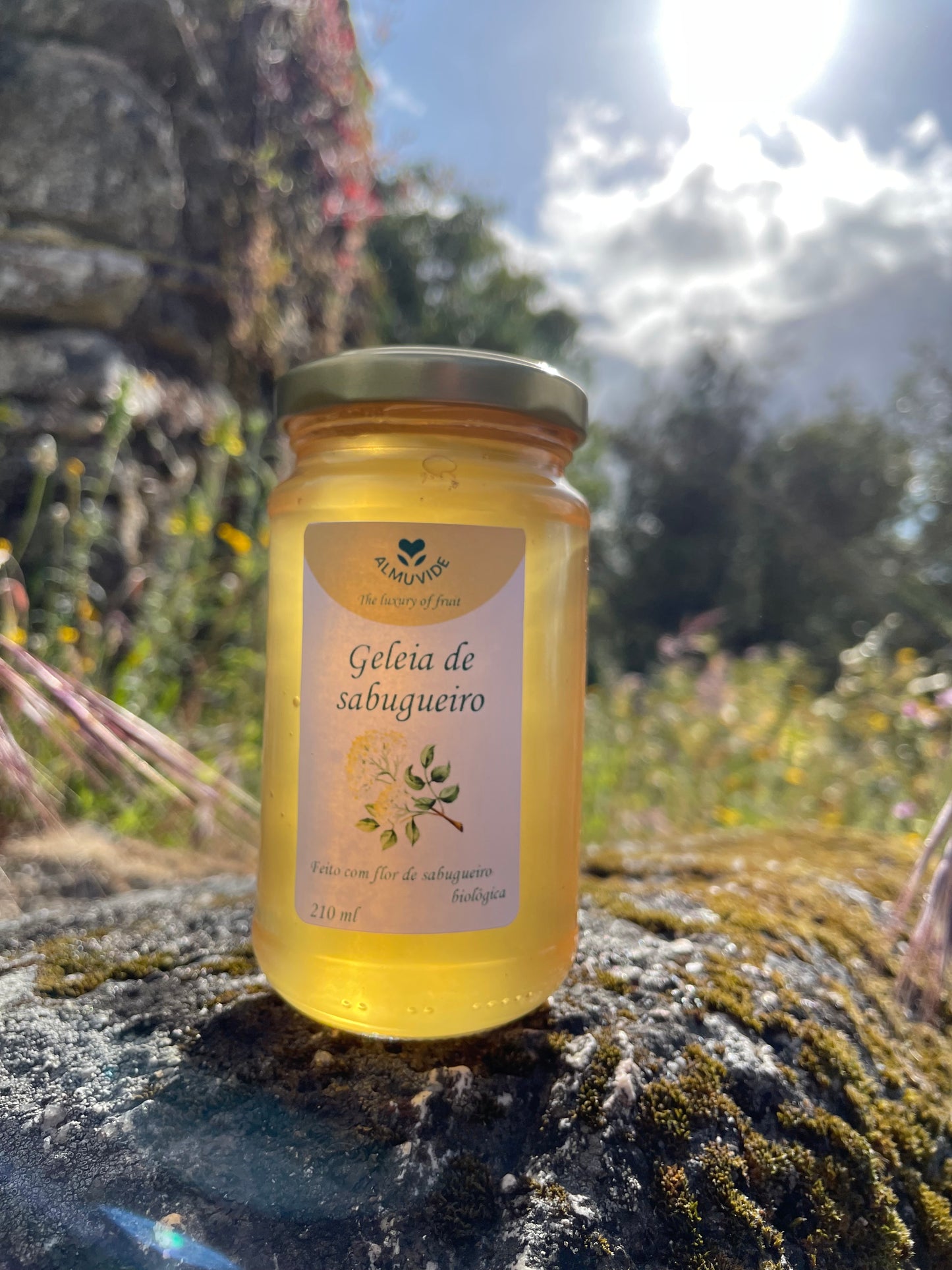 Geleia de flor de sabugueiro