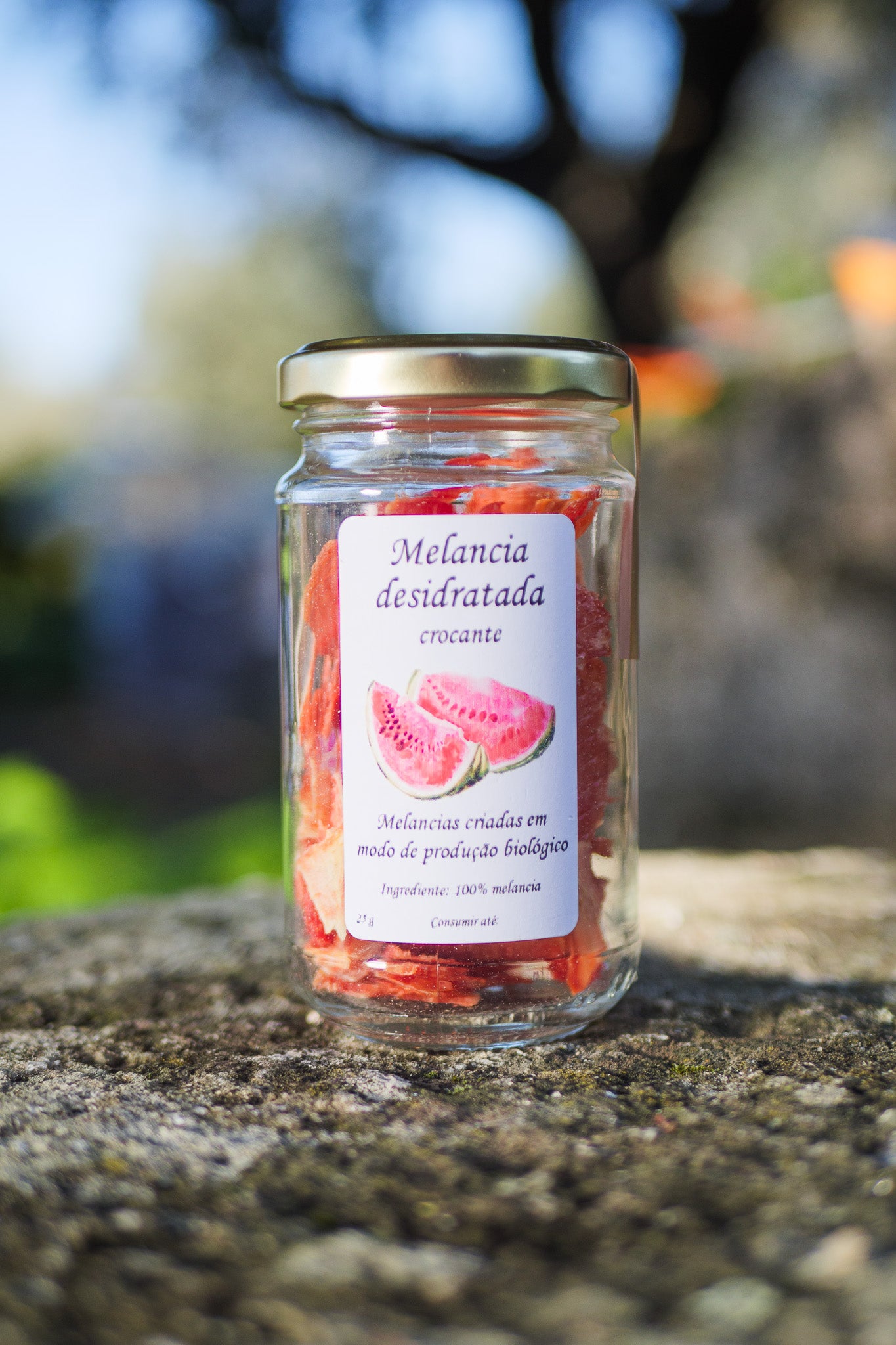 Dehydrated watermelon chips