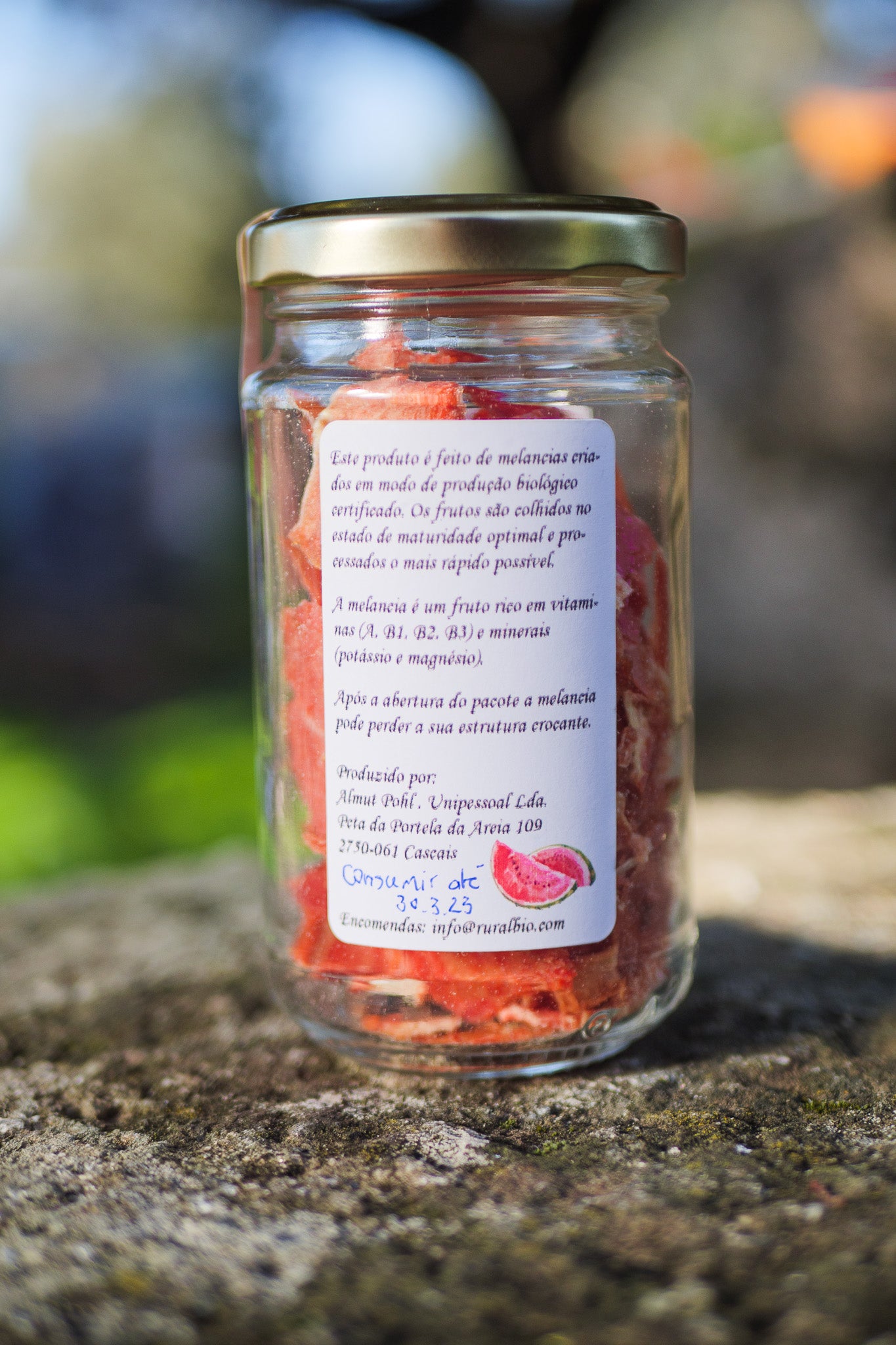 Dehydrated watermelon chips