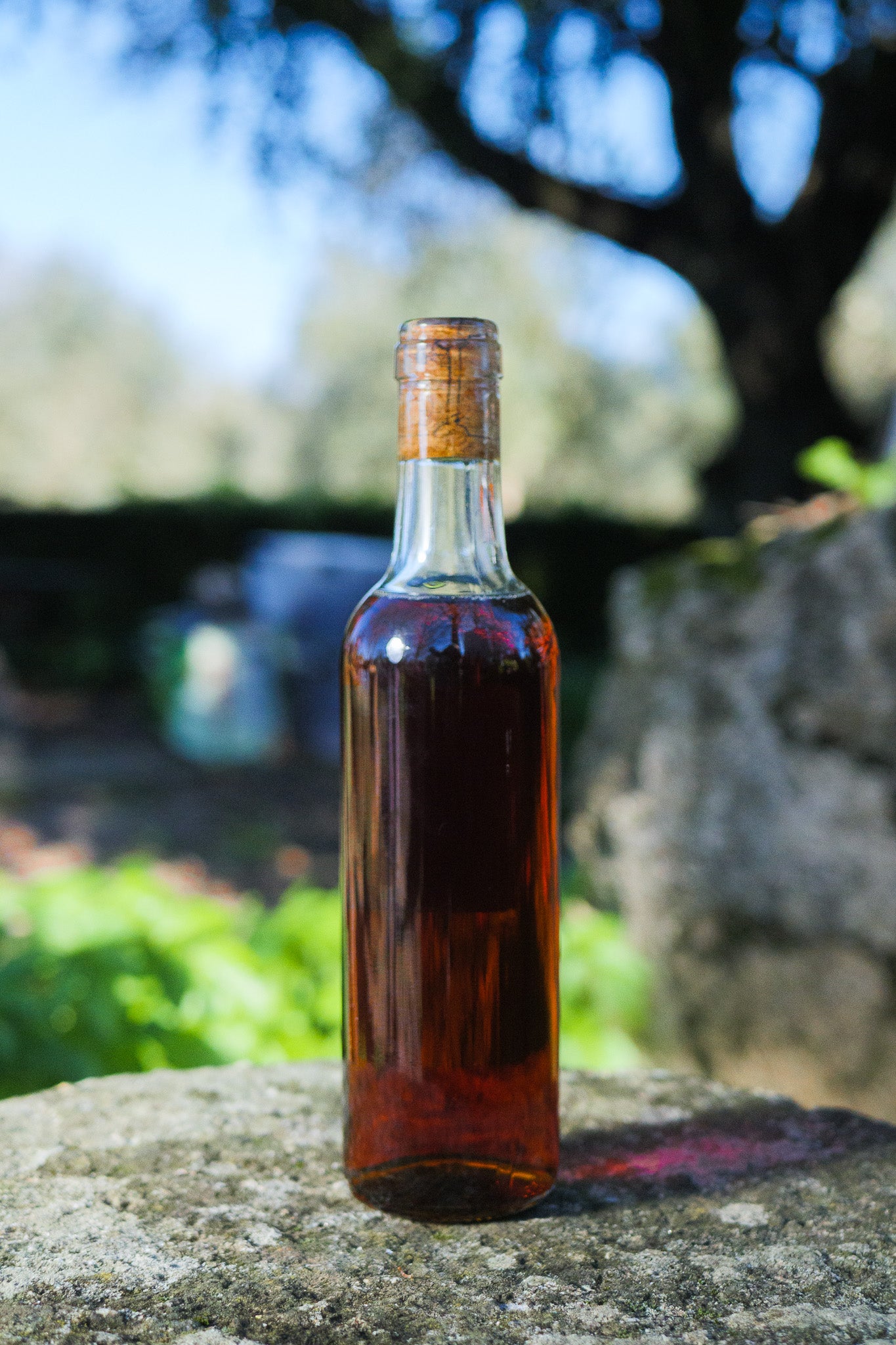 Orange wine