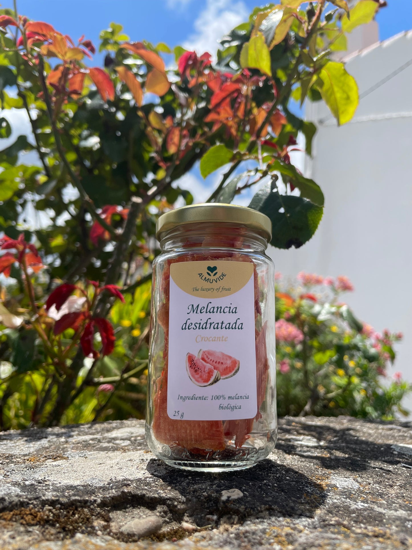 Dehydrierte Wassermelonenchips